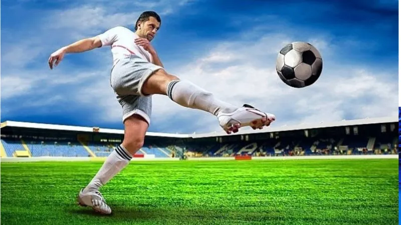 Hỗ trợ khách hàng và công cụ trách nhiệm